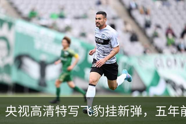 央视高清特写飞豹挂新弹，五年前传的东西这回坐实了
