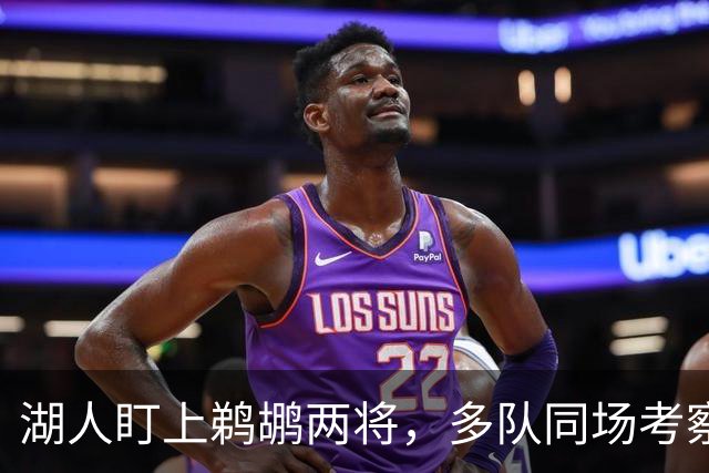 湖人盯上鹈鹕两将，多队同场考察墨菲与琼斯